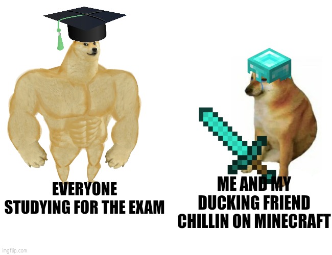 Rip | ME AND MY DUCKING FRIEND CHILLIN ON MINECRAFT; EVERYONE STUDYING FOR THE EXAM | image tagged in memes,buff doge vs cheems | made w/ Imgflip meme maker