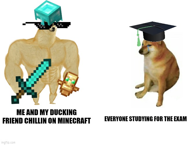 Results??? | ME AND MY DUCKING FRIEND CHILLIN ON MINECRAFT; EVERYONE STUDYING FOR THE EXAM | image tagged in memes,buff doge vs cheems | made w/ Imgflip meme maker