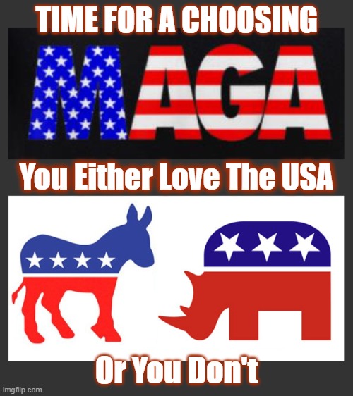 It Really Is That Simple | TIME FOR A CHOOSING; You Either Love The USA; Or You Don't | image tagged in time for a choosing,maga,kill the nwo,american patriot,jadscomms,the great awakening | made w/ Imgflip meme maker