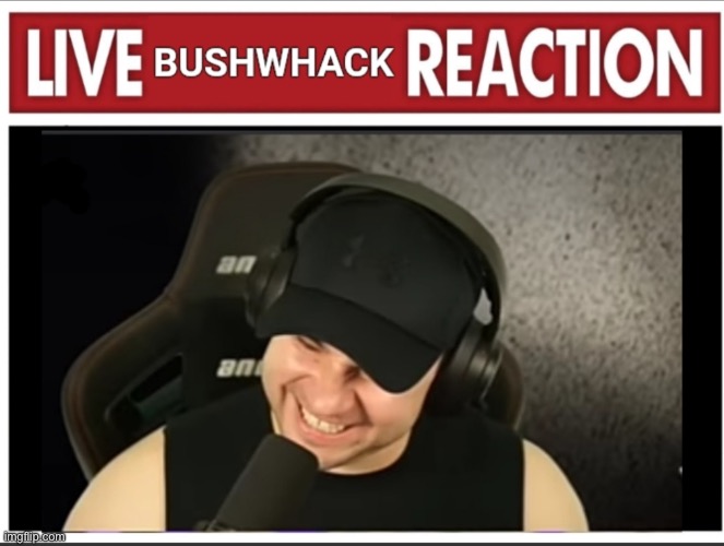Live Bushwhack Reaction | image tagged in live bushwhack reaction | made w/ Imgflip meme maker