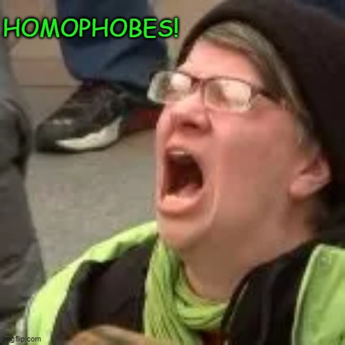HOMOPHOBES! | made w/ Imgflip meme maker