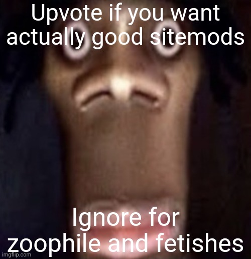 e | Upvote if you want actually good sitemods; Ignore for zoophile and fetishes | image tagged in quandale dingle | made w/ Imgflip meme maker