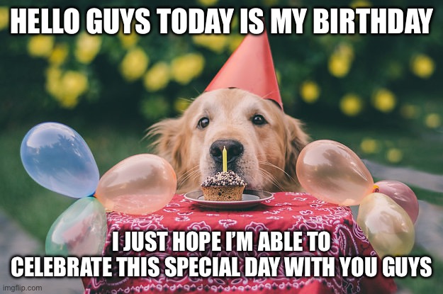 If you’re wondering, no I’m not begging for upvotes | HELLO GUYS TODAY IS MY BIRTHDAY; I JUST HOPE I’M ABLE TO CELEBRATE THIS SPECIAL DAY WITH YOU GUYS | image tagged in dog birthday,birthday | made w/ Imgflip meme maker