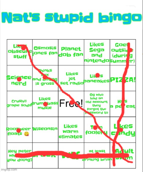 Nat's stupid bingo | image tagged in nat's stupid bingo | made w/ Imgflip meme maker