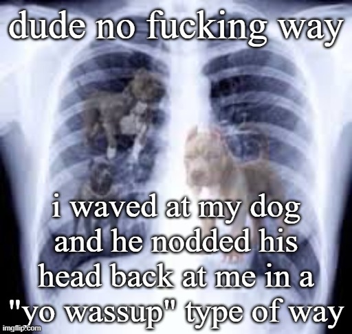 He got that Dawg in Him | dude no fucking way; i waved at my dog and he nodded his head back at me in a "yo wassup" type of way | image tagged in he got that dawg in him | made w/ Imgflip meme maker