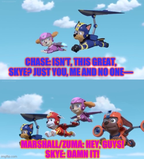 Scene interrupted (air pup style) | CHASE: ISN’T, THIS GREAT, SKYE? JUST YOU, ME AND NO ONE—; MARSHALL/ZUMA: HEY, GUYS! 
SKYE: DAMN IT! | image tagged in paw patrol,flying,funny dog memes,jet,romance,innuendo | made w/ Imgflip meme maker