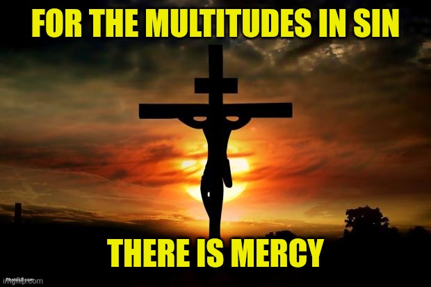 Jesus on the cross | FOR THE MULTITUDES IN SIN; THERE IS MERCY | image tagged in jesus on the cross | made w/ Imgflip meme maker