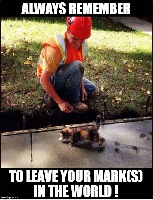 Motivational Kitten ! | ALWAYS REMEMBER; TO LEAVE YOUR MARK(S)
IN THE WORLD ! | image tagged in cats,kitten,motivational,paw prints | made w/ Imgflip meme maker