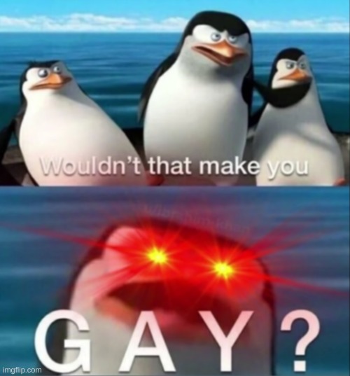 Post above | image tagged in wouldn't that make you gay | made w/ Imgflip meme maker