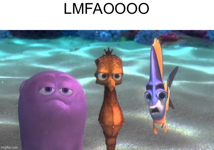Pity Finding Nemo | LMFAOOOO | image tagged in pity finding nemo | made w/ Imgflip meme maker