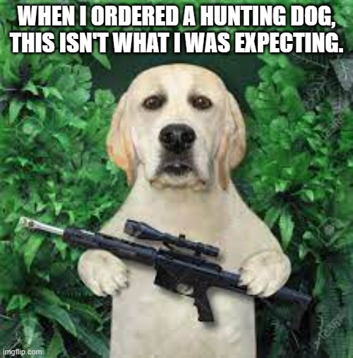 meme by Brad I ordered a hunting dog humor | WHEN I ORDERED A HUNTING DOG, THIS ISN'T WHAT I WAS EXPECTING. | image tagged in sports,hunting season,dad joke dog,funny meme,funny,humor | made w/ Imgflip meme maker