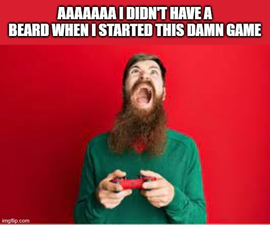 meme by Brad video game took forever | AAAAAAA I DIDN'T HAVE A BEARD WHEN I STARTED THIS DAMN GAME | image tagged in gaming,funny,pc gaming,video games,computer games,humor | made w/ Imgflip meme maker
