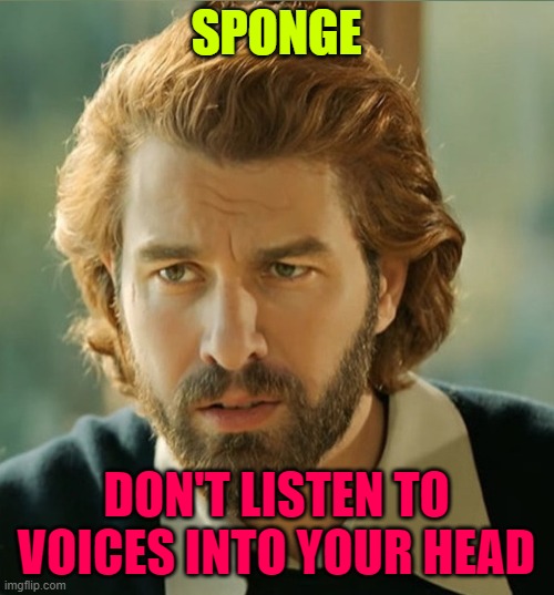 advice to spongebob | SPONGE; DON'T LISTEN TO VOICES INTO YOUR HEAD | made w/ Imgflip meme maker