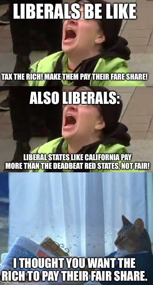 LIBERALS BE LIKE; TAX THE RICH! MAKE THEM PAY THEIR FARE SHARE! ALSO LIBERALS:; LIBERAL STATES LIKE CALIFORNIA PAY MORE THAN THE DEADBEAT RED STATES, NOT FAIR! I THOUGHT YOU WANT THE RICH TO PAY THEIR FAIR SHARE. | image tagged in screaming liberal,cat newspaper | made w/ Imgflip meme maker