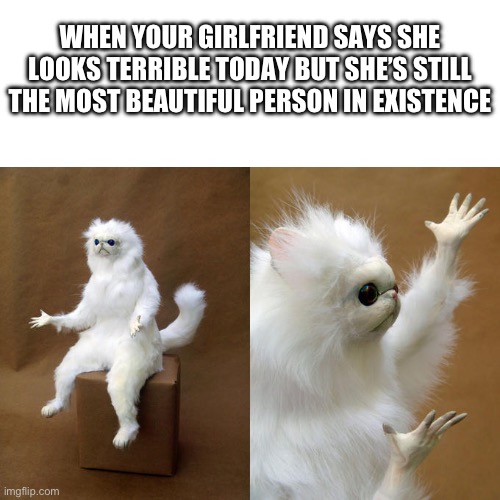 Persian Cat Room Guardian Meme | WHEN YOUR GIRLFRIEND SAYS SHE LOOKS TERRIBLE TODAY BUT SHE’S STILL THE MOST BEAUTIFUL PERSON IN EXISTENCE | image tagged in memes,persian cat room guardian,girlfriend | made w/ Imgflip meme maker