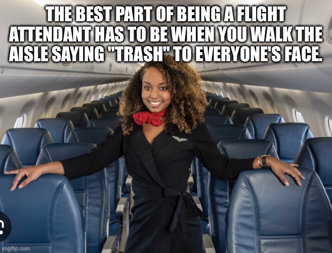 New career inspiration | THE BEST PART OF BEING A FLIGHT ATTENDANT HAS TO BE WHEN YOU WALK THE AISLE SAYING "TRASH" TO EVERYONE'S FACE. | image tagged in flight attendant,trash,burn,people,true | made w/ Imgflip meme maker
