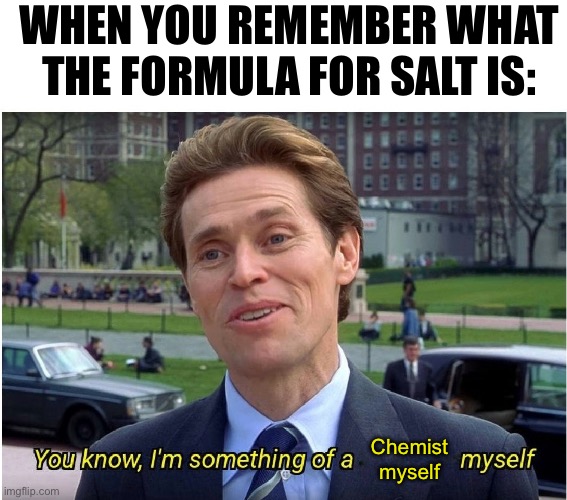 NaCl,for those who dont actually remember | WHEN YOU REMEMBER WHAT THE FORMULA FOR SALT IS:; Chemist myself | image tagged in you know i'm something of a _ myself | made w/ Imgflip meme maker