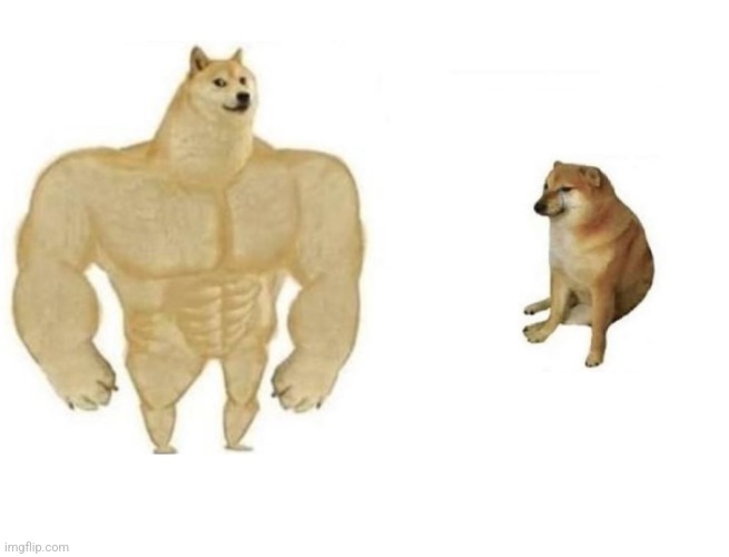 Dog comparison | image tagged in dog comparison | made w/ Imgflip meme maker