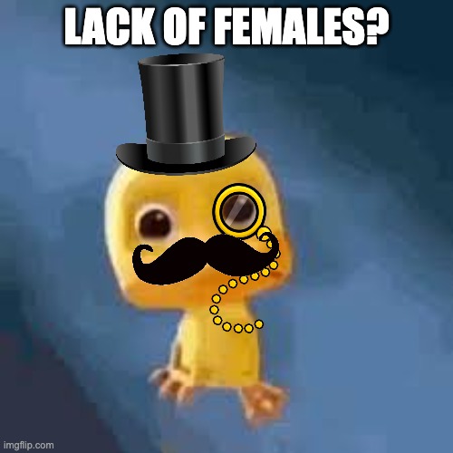 Crying duck | LACK OF FEMALES? | image tagged in crying duck | made w/ Imgflip meme maker