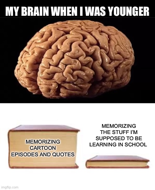 Priorities: Memorizing the more fun thing | MY BRAIN WHEN I WAS YOUNGER; MEMORIZING THE STUFF I’M SUPPOSED TO BE LEARNING IN SCHOOL; MEMORIZING CARTOON EPISODES AND QUOTES | image tagged in this is your brain,big book small book,cartoon,cartoons,childhood,school | made w/ Imgflip meme maker