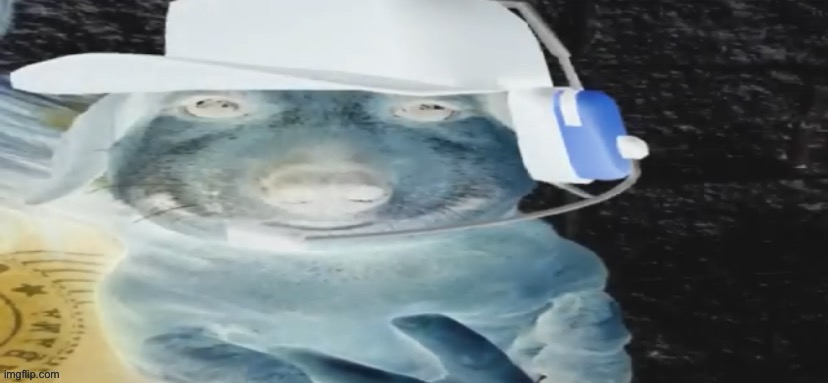 Nhuclecuts | image tagged in nhuclecuts | made w/ Imgflip meme maker