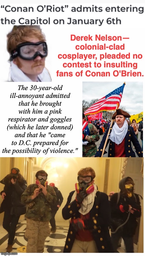 Capitol Cosplayer Conanon Likes To Play House | image tagged in domestic terrorist,treason,loser losing,minnie mouse costume was at cleaners | made w/ Imgflip meme maker
