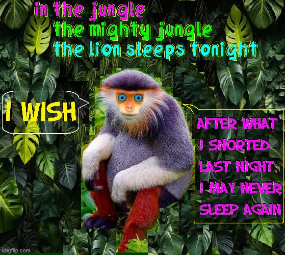The Great White Hunter Strikes Again | I WISH; AFTER WHAT
I SNORTED 
LAST NIGHT,
I MAY NEVER
SLEEP AGAIN | image tagged in vince vance,monkeys,jungle,memes,the lion sleeps tonight,cocaine | made w/ Imgflip meme maker