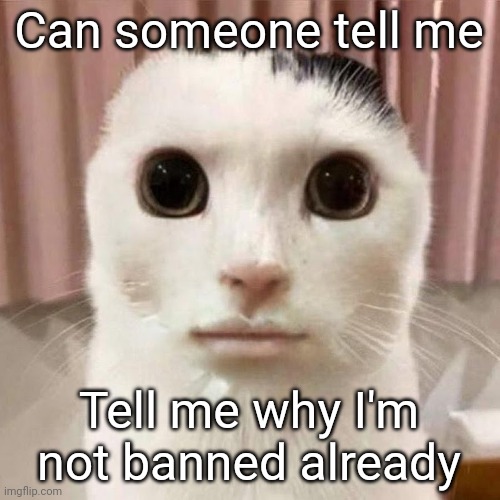 . | Can someone tell me; Tell me why I'm not banned already | made w/ Imgflip meme maker