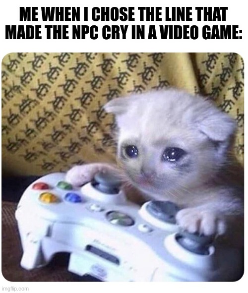 Sad cat Xbox | ME WHEN I CHOSE THE LINE THAT MADE THE NPC CRY IN A VIDEO GAME: | image tagged in sad cat xbox | made w/ Imgflip meme maker
