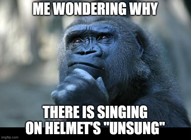 Deep Thought | ME WONDERING WHY; THERE IS SINGING ON HELMET'S "UNSUNG" | image tagged in deep thoughts,helmet,music,unsung,singing | made w/ Imgflip meme maker