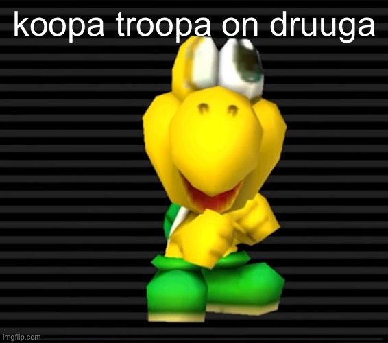 koopa troopa on druuga | made w/ Imgflip meme maker