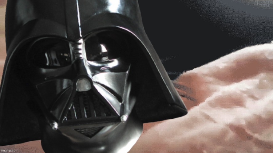 Cat Just Vibing | image tagged in cat just vibing | made w/ Imgflip meme maker