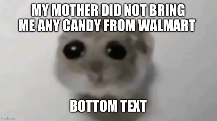 Sad | MY MOTHER DID NOT BRING ME ANY CANDY FROM WALMART; BOTTOM TEXT | image tagged in sad hamster | made w/ Imgflip meme maker