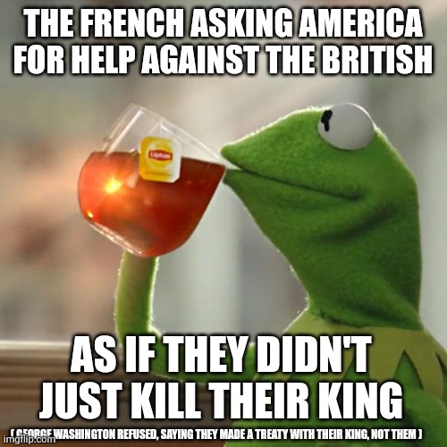 It's a history thing | THE FRENCH ASKING AMERICA FOR HELP AGAINST THE BRITISH; AS IF THEY DIDN'T JUST KILL THEIR KING; ( GEORGE WASHINGTON REFUSED, SAYING THEY MADE A TREATY WITH THEIR KING, NOT THEM ) | image tagged in memes,but that's none of my business,kermit the frog | made w/ Imgflip meme maker