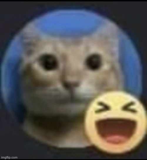 i've been less active here, i could die and nobody would find out, how about that, another dust particle falls | made w/ Imgflip meme maker