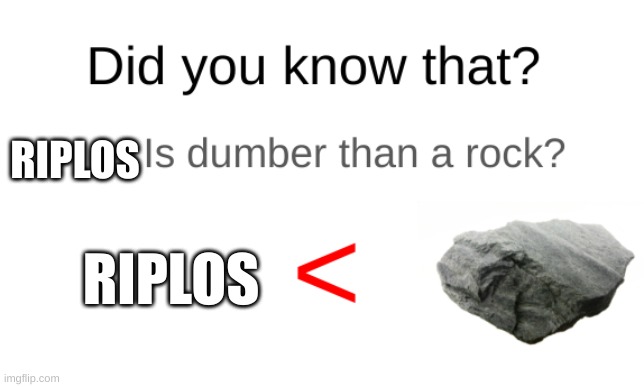 Did you know that I am running out of time and need to hide? | RIPLOS; RIPLOS | image tagged in did you know that blank is dumber than a rock | made w/ Imgflip meme maker