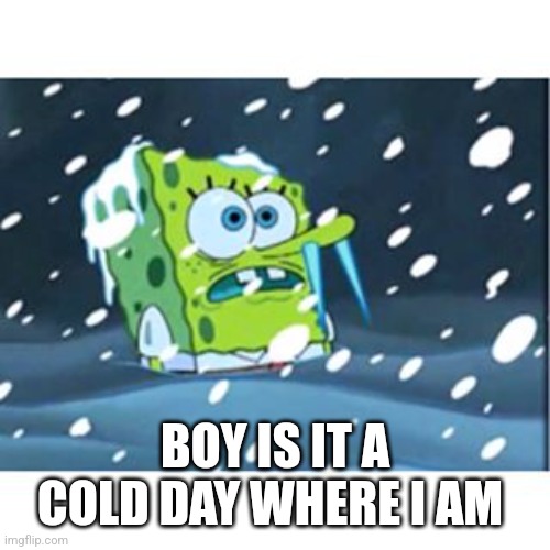 Freezing Spongebob | BOY IS IT A COLD DAY WHERE I AM | image tagged in freezing spongebob | made w/ Imgflip meme maker