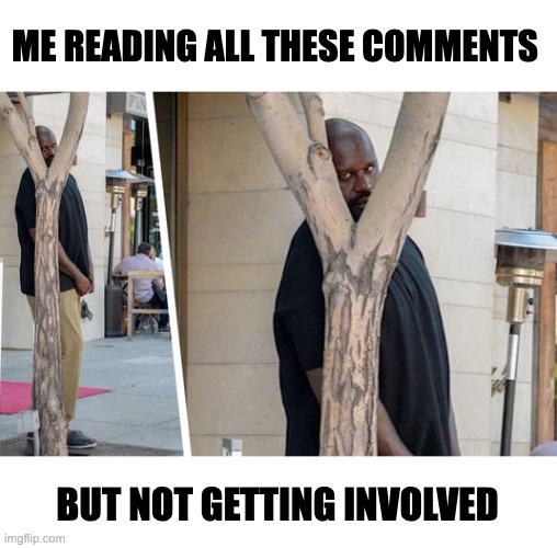 Reading all the comments, but not getting involved | ME READING ALL THESE COMMENTS; BUT NOT GETTING INVOLVED | image tagged in shaq hiding | made w/ Imgflip meme maker