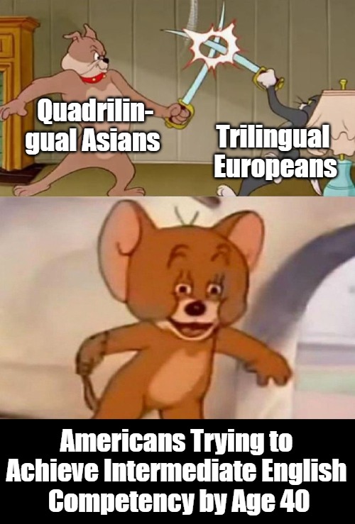 Learning Languages ..... [Please See Comments Too] | Quadrilin-

gual Asians; Trilingual 
Europeans; Americans Trying to 

Achieve Intermediate English 

Competency by Age 40 | image tagged in tom and jerry swordfight,learning languages,americans,asians,europeans,comparison | made w/ Imgflip meme maker