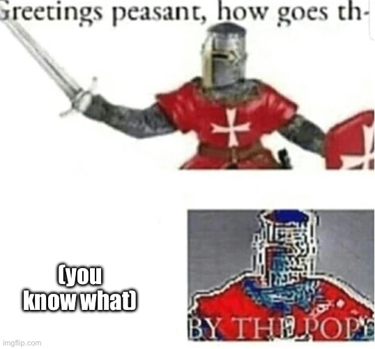 BY THE POPE | (you know what) | image tagged in by the pope | made w/ Imgflip meme maker