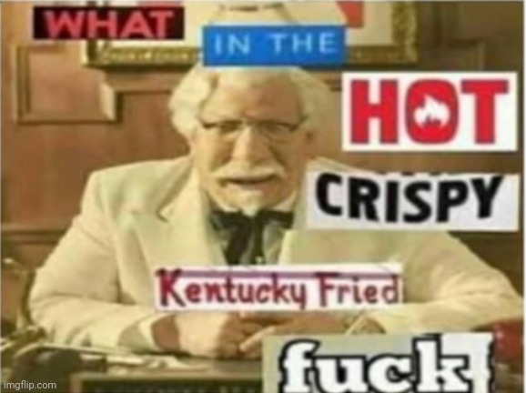 wtf | image tagged in wtf | made w/ Imgflip meme maker