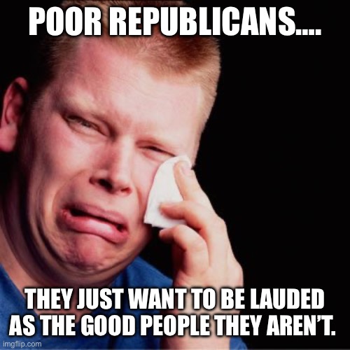 Good people they aren’t | POOR REPUBLICANS…. THEY JUST WANT TO BE LAUDED AS THE GOOD PEOPLE THEY AREN’T. | image tagged in crying boy | made w/ Imgflip meme maker