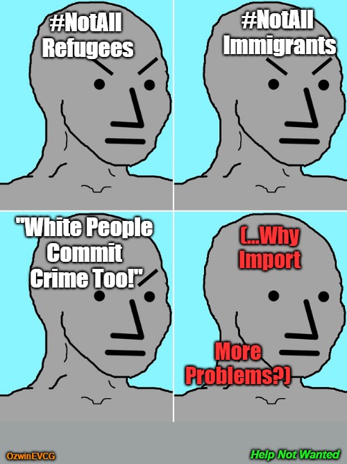 Help Not Wanted [NV] | #NotAll 
Immigrants; #NotAll 
Refugees; (...Why Import; "White People 
Commit 
Crime Too!"; More Problems?); Help Not Wanted; OzwinEVCG | image tagged in npc becomes epc,migrants,refugee crises,war on the west,manufactured chaos,globalism | made w/ Imgflip meme maker