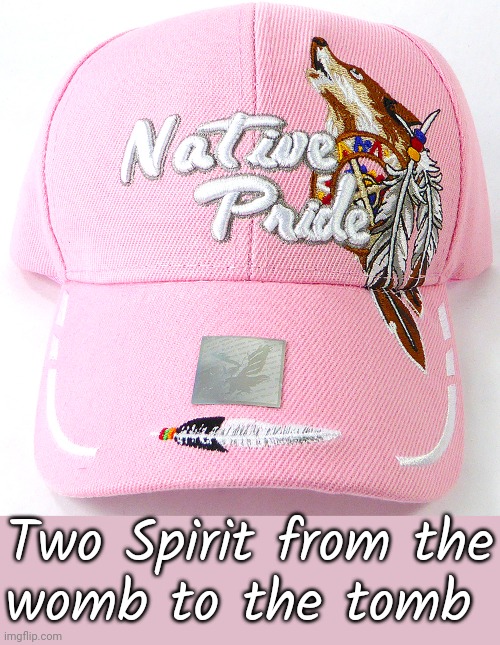 A turn of phrase popular among my people. | Two Spirit from the
womb to the tomb | image tagged in native pride hat pink,lgbt,slogan | made w/ Imgflip meme maker