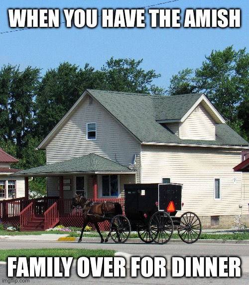 When the Amish comes over for dinner | WHEN YOU HAVE THE AMISH; FAMILY OVER FOR DINNER | image tagged in grass guzzler,amish,dinner,family dinner,family,memes | made w/ Imgflip meme maker