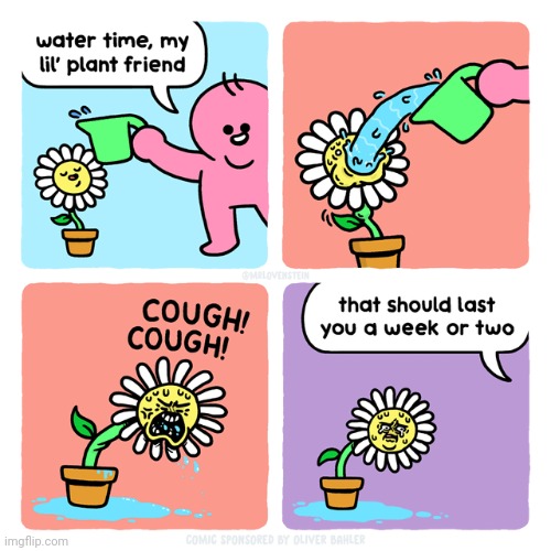 Thirst-quenching the plant | image tagged in plant,plants,watering,water,comics,comics/cartoons | made w/ Imgflip meme maker