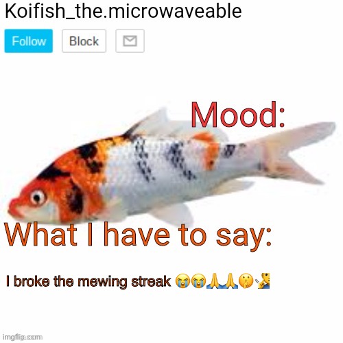 Koifish_the.microwaveable announcement | I broke the mewing streak 😭😭🙏🙏🤫🧏‍♂️ | image tagged in koifish_the microwaveable announcement | made w/ Imgflip meme maker