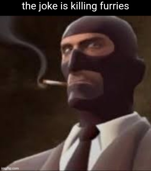 the joke is killing furries | image tagged in the joke is killing furries | made w/ Imgflip meme maker