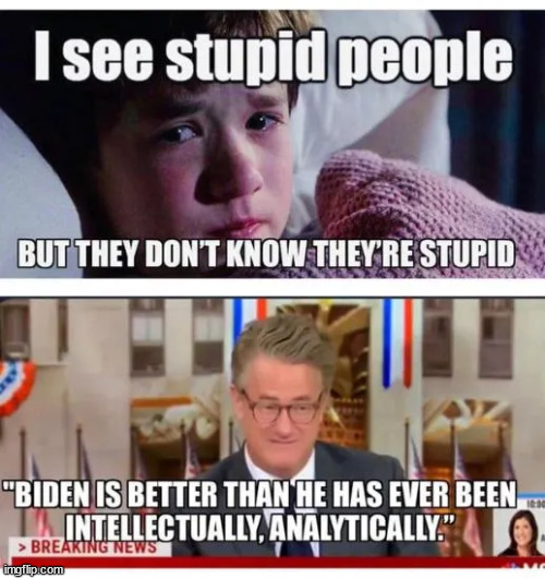 I see stupid people... | image tagged in liberals,the most ignorant people in the world | made w/ Imgflip meme maker
