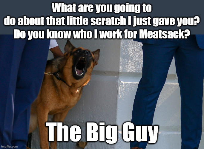 What are you going to do about that little scratch I just gave you?
Do you know who I work for Meatsack? The Big Guy | made w/ Imgflip meme maker